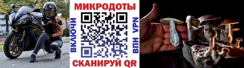 мориарти телеграм  Апатиты  Галлюциногенные грибы ЛСД  купить наркотики сайты 