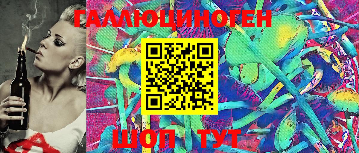 Псилоцибиновые грибы Psilocybine cubensis Апатиты